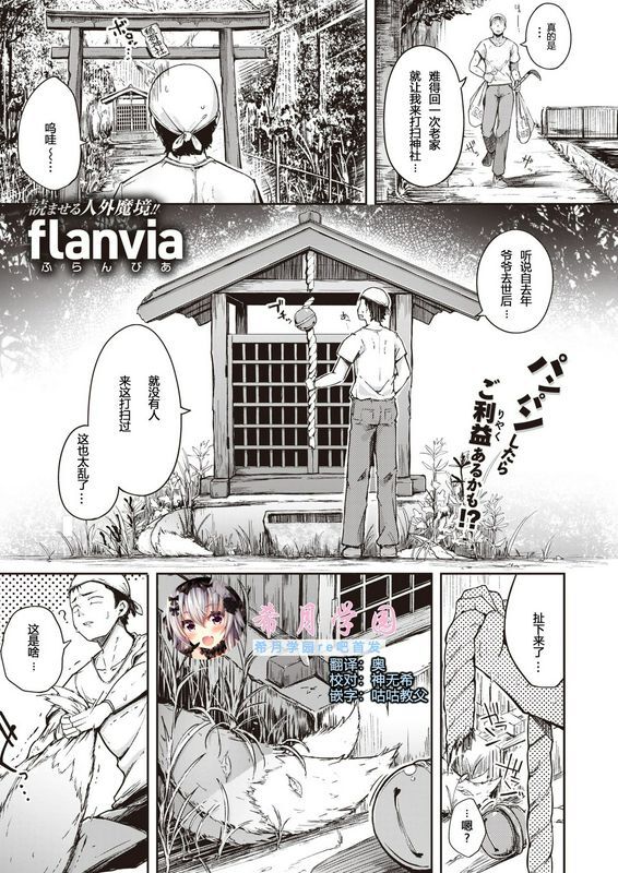 flanviaおいなりさん